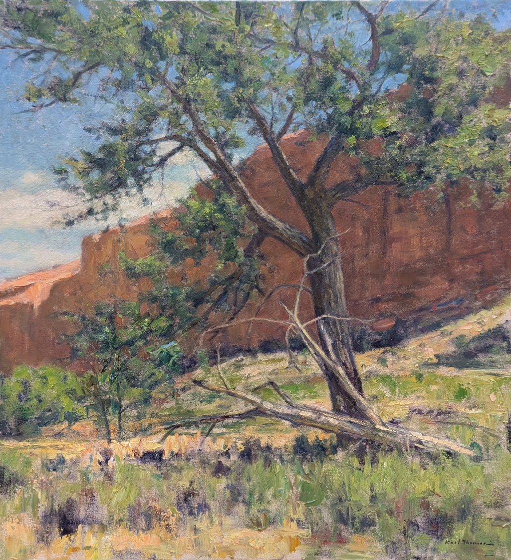 Capital Reef Landscape