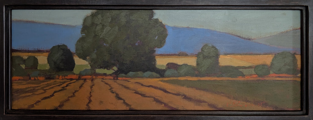 The Blue West Mountains Last Cut